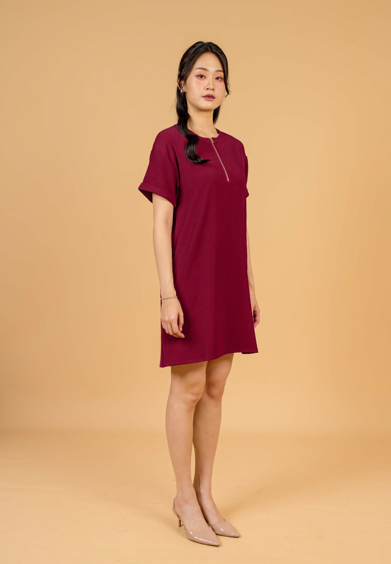 Rylee A-Line With Gold Zipper Dress(Red)