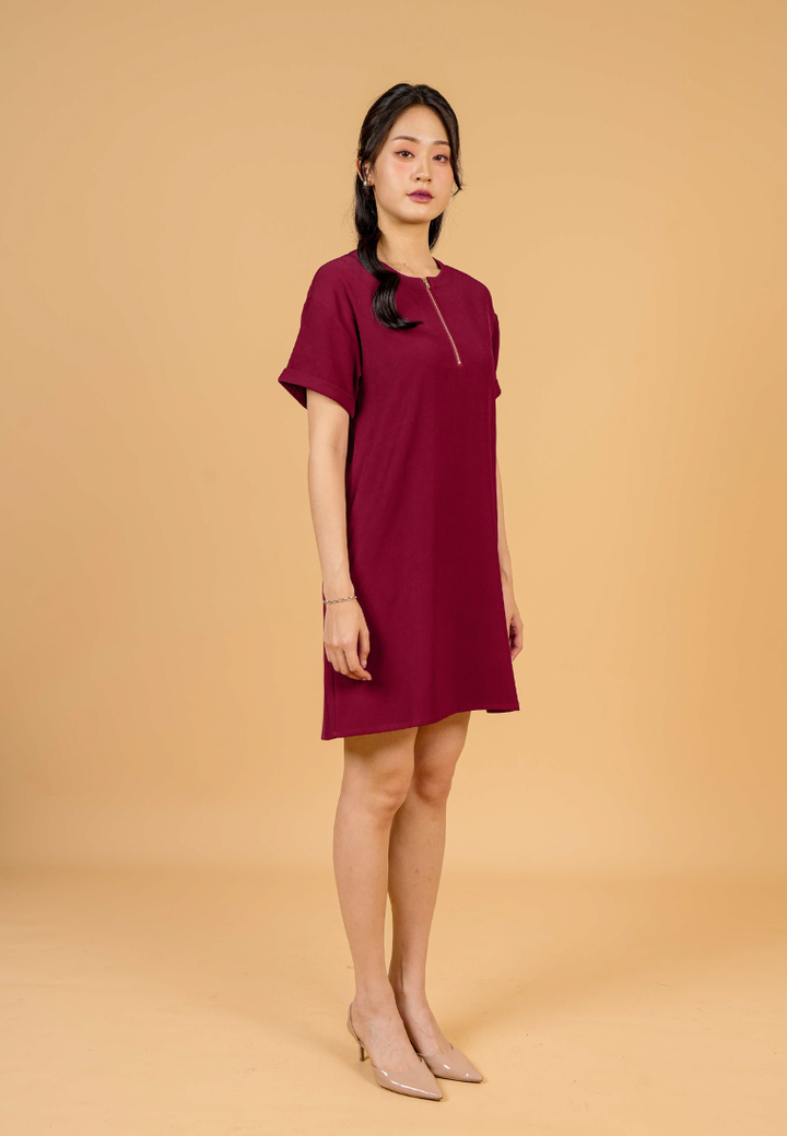 Rylee A-Line With Gold Zipper Dress(Red)