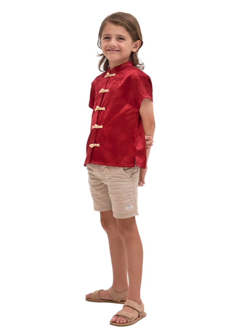 Little TengLin Boy's Oriental Silk Samfu Top (Red)