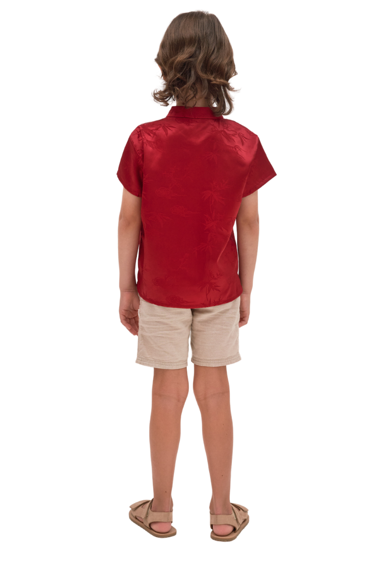 Little TengLin Boy's Oriental Silk Samfu Top (Red)