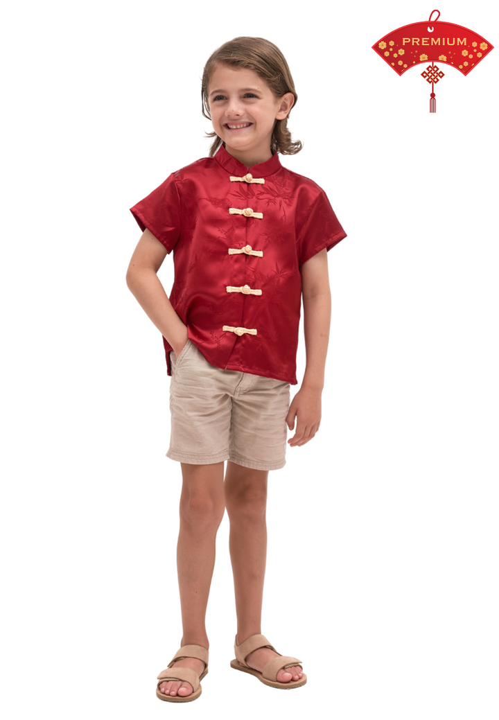 Little TengLin Boy's Oriental Silk Samfu Top (Red)