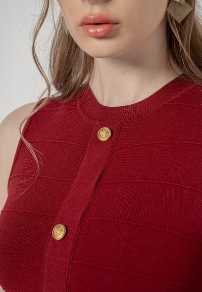 Solene Gold Buttons Emeblished Knitted Dress (Wine Red)