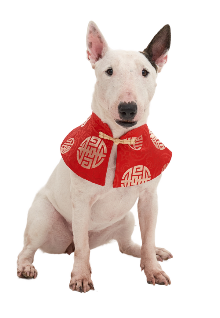 [LK x FETCH ME LATER] CNY Special Edition Pet Bib Collar