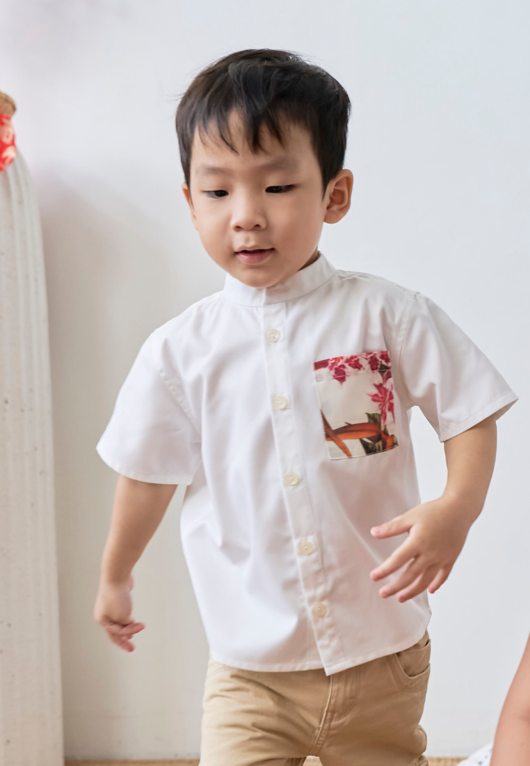 Little 锦 Jǐn Boys' Button Down Shirt